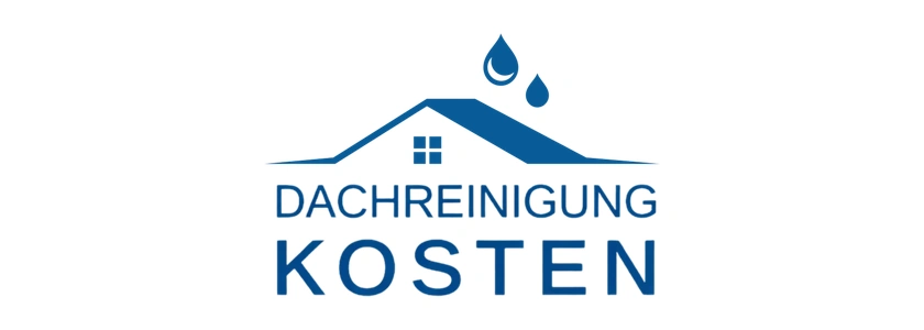 Dachreinigung Kosten