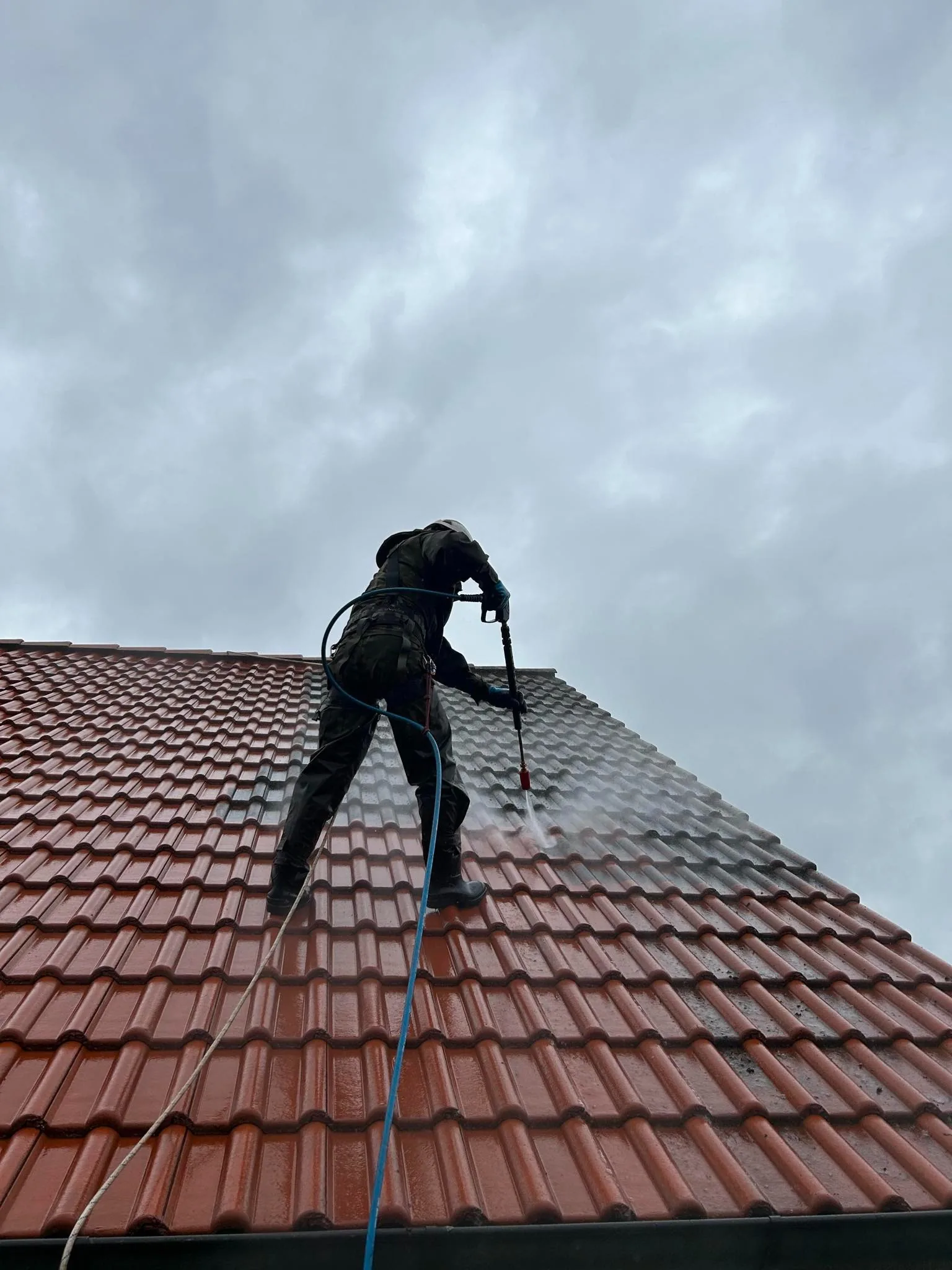 Professionelle Dachreinigung bei der Arbeit in Eberswalde